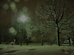 DSCF0963