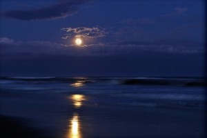 月夜