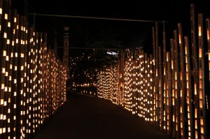 src_50504065